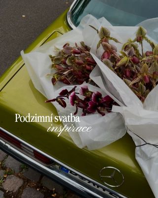 Malé inspo na podzimní svatební dekor🍂 Photos via pinterst #svatebnisalonagnes